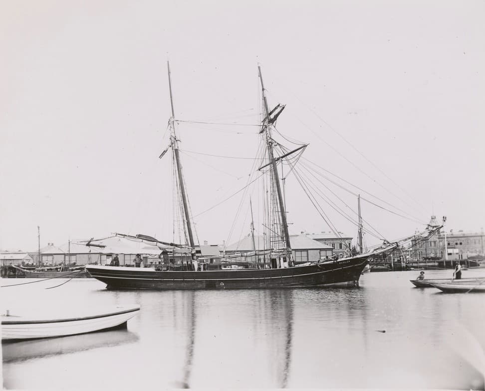 The Rise of Sail